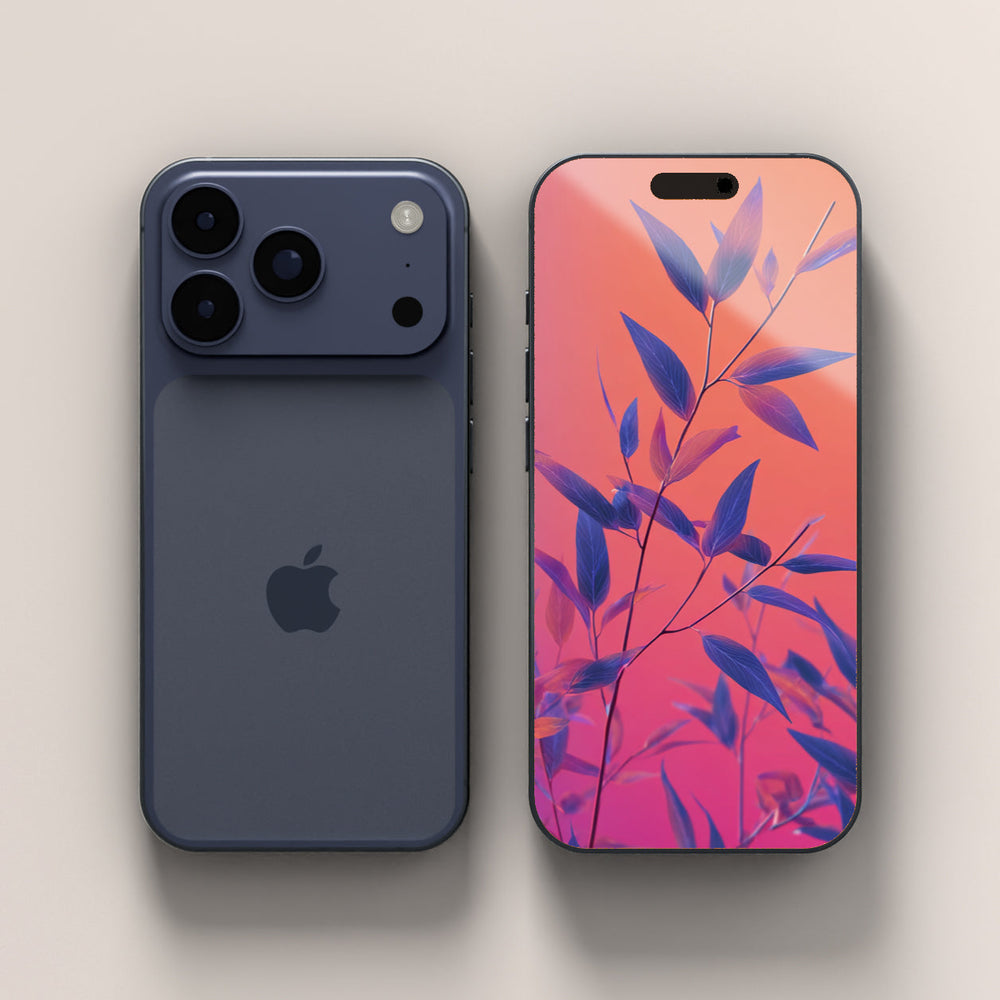 The iPhone, from every angle